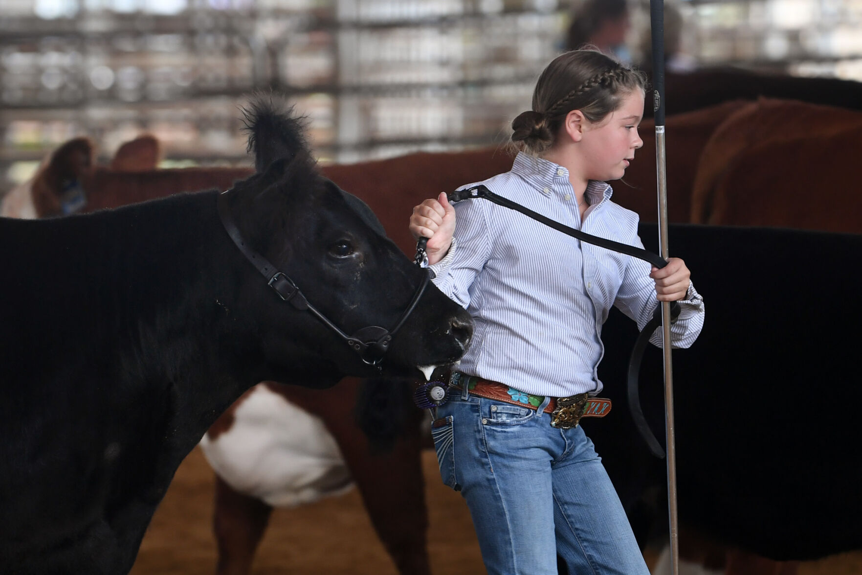 Burleson County Fair